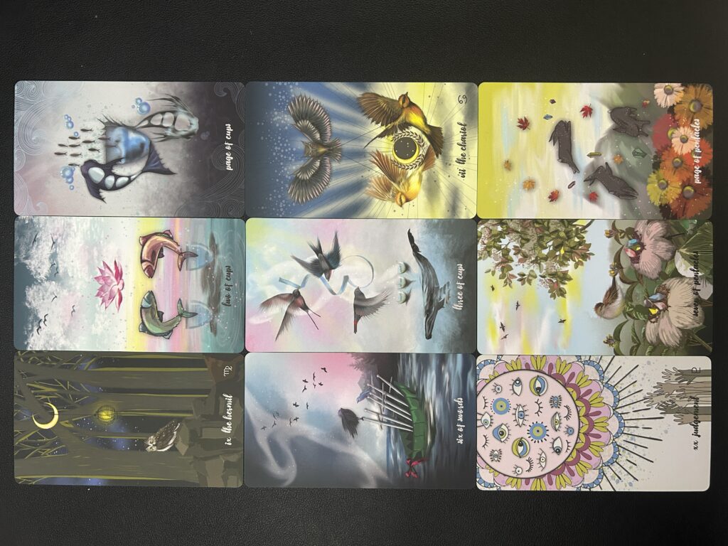 Photo 2026-03-26, 13 40 48